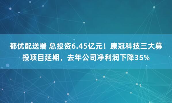 都优配送端 总投资6.45亿元！康冠科技三大募投项目延期，去年公司净利润下降35%