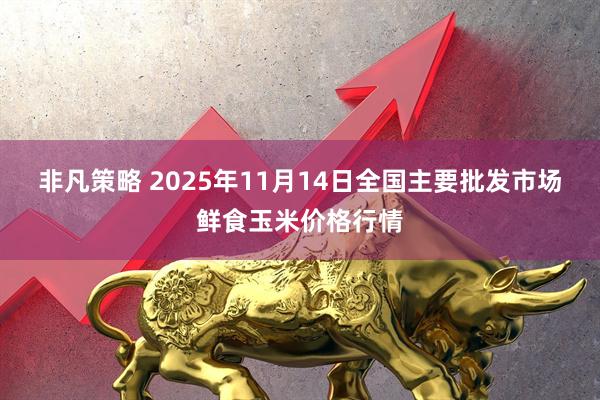 非凡策略 2025年11月14日全国主要批发市场鲜食玉米价格行情